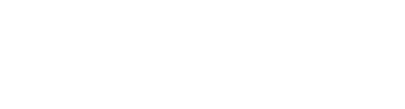 808SEERE Logo